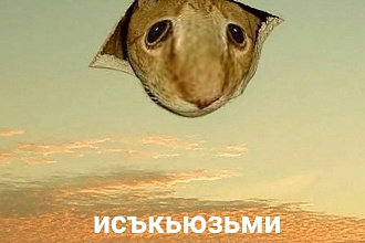 Качественный перевод с Английского, Чешского, Латыни, Немецкого