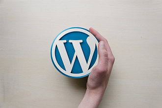 Сделаю сайт на WordPress + 30 дней хостинга бесплатно