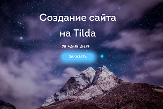 Сделаю лендинг на Tilda за 1 день