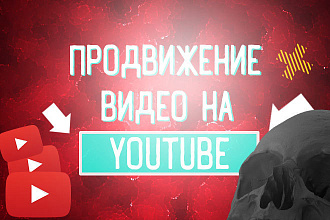 1000 просмотров, 100 комментариев, подписчиков, лайков на Youtube