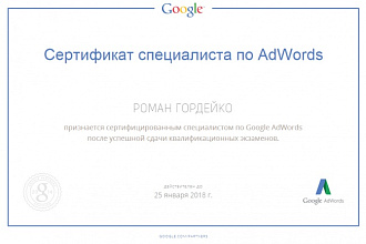 Рекламная кампания Яндекс Директ и Google Adwords, а также РСЯ и КМС