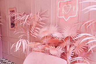 SMM Instagram