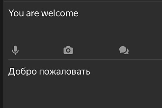 Любые переводы текстов