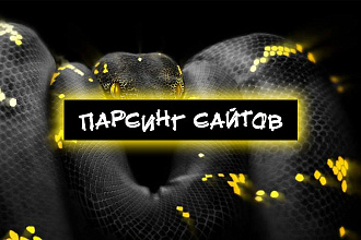 Разработка парсера и реализация в виде чат-бота