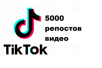 Репосты видео Тик Ток