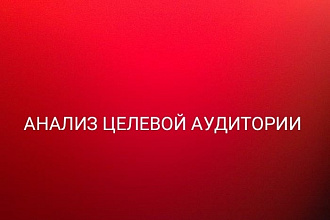 Сделаю анализ целевой аудитории