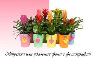 Удалю фон на изображении
