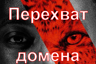 Перехват освобождающихся доменных имён