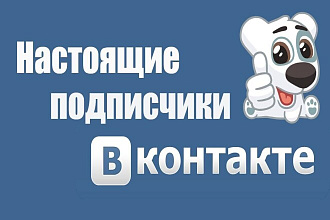 Сделаю 2000 подписчиков на вк страницу или группу