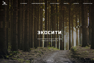 Современный Сайт под Ключ