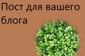 Напишу пост для вашего блога