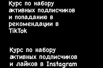 Онлайн школа по набору активной аудитории в TikTok и Instagram