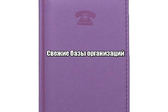 Свежая база организаций