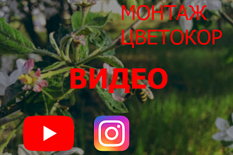 Монтирую видео для соцсетей, рекламы и других задач