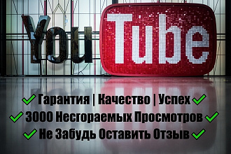 3000 просмотров на ваше видео в YouTube, без списания просмотров