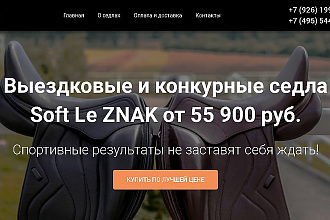 Создам лендинг на Wordpress