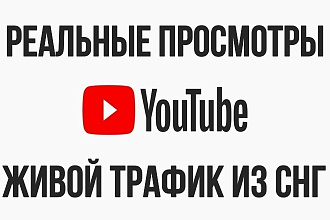 1700 реальных просмотров видео для YouTube c гарантией