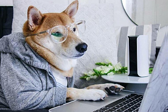 Вычитка текстов, статей