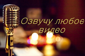 Озвучу любое Ваше видео