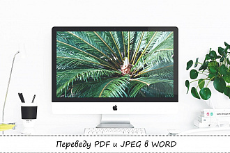Переведу PDF и jpeg в word ( до 200 страниц)