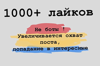 1000 качественных лайков на фото в Инстаграм