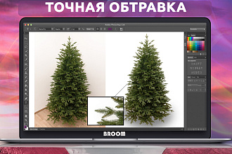 Обтравка изображений. Сменю,вырежу фон на белый или любой предложенный