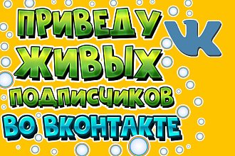 Подписчики в группу в контакте, 200 шт