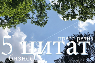 Набор цитат предпринимателя для пресс-релиза или презентации