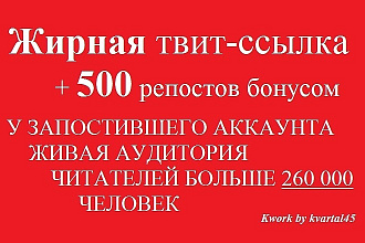 1 ссылка в посте аккаунта с 260000 живых читателей, ретвиты, отчет