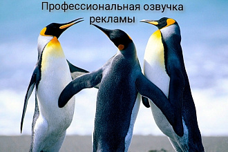 Озвучка рекламного ролика