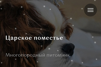 Создам сайт с нуля