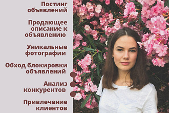 Продвижение компаний