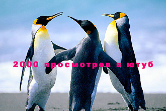 Сделаю 2000 просмотров в ютуб