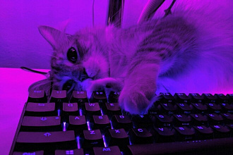 Напишу Си, C++ программу