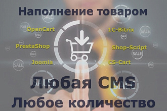 Наполнение интернет-магазина товарами любой сложности на любую CMS