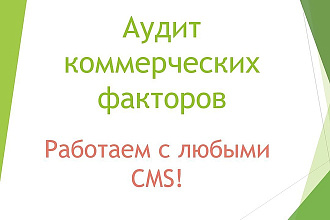 Аудит коммерческих факторов сайта
