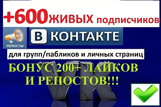 Продвижение группы ВКонтакте + 600 подписчиков