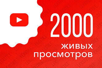 2000 живых просмотров Youtube с гарантией