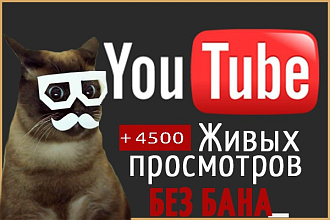 4500 живых просмотров на ваше видео в YouTube