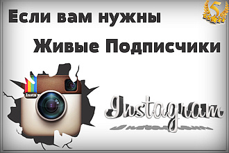 Живые подписчики Инстаграм