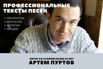 Профессиональный текст песни от автора с 20+ летним стажем