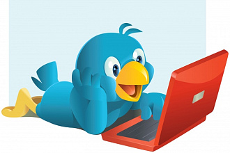 Twitter 500 подписчиков, живые люди