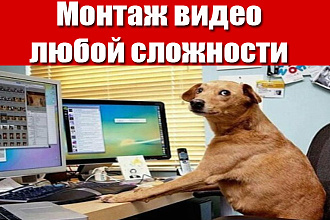 Монтаж видео любой сложности + превью