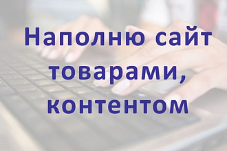 Наполню интернет-магазин товарами