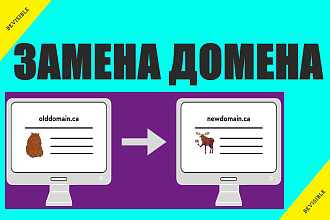 Перенос сайта на новый домен Замена домена