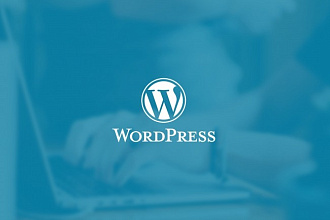 Подберу премиум шаблон для сайта Wordpress