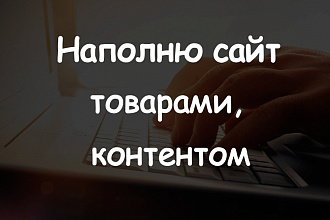 Наполню сайт товарами, контентом