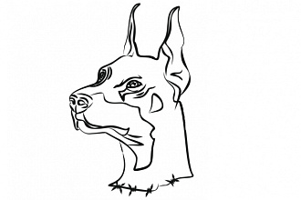 CorelDraw любое задание в данной программе