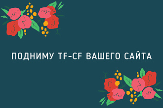 Подниму TF-CF вашего сайта