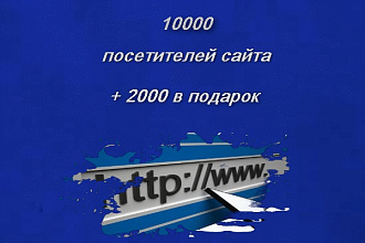 10000 просмотров сайта +2000 в подарок